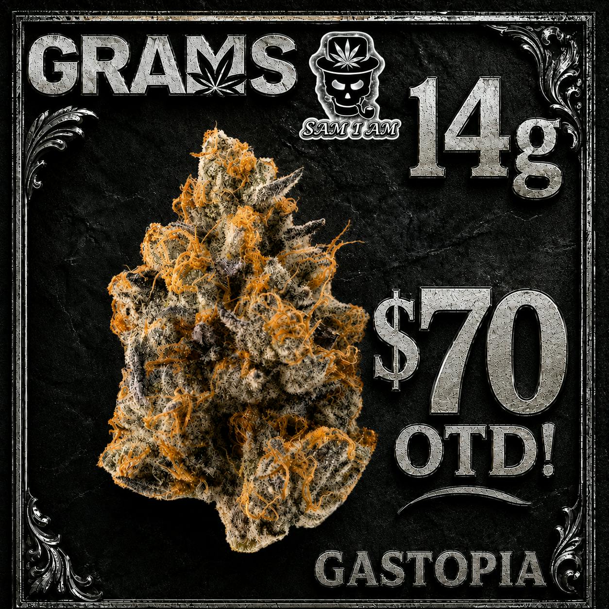 GASTOPIA 14G
