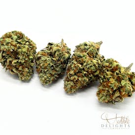 Molotov Skunktail - Weaving Genetics