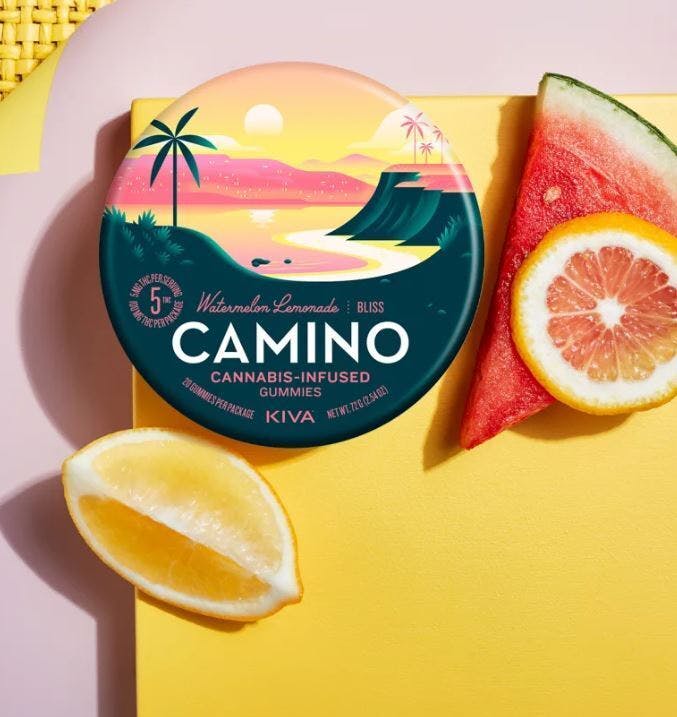 Watermelon Lemonade Bliss
