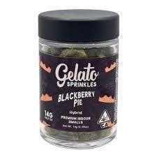 Blackberry Pie | Hybrid | 14g - 14 g