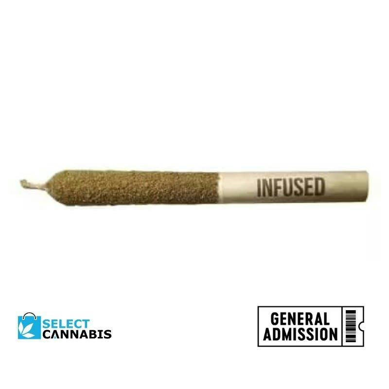 (1 x 1g)