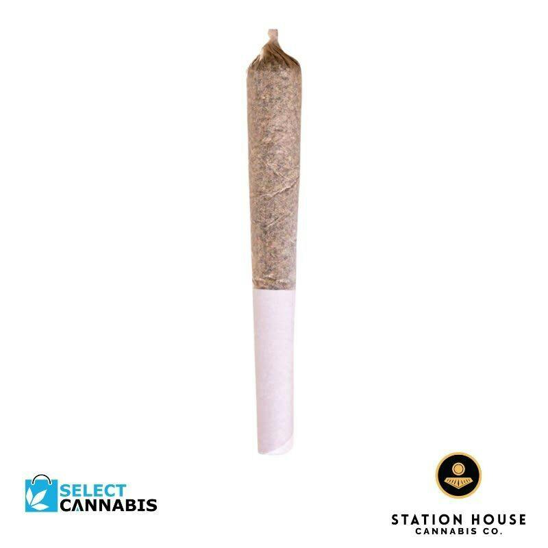 (1 x 0.5g)