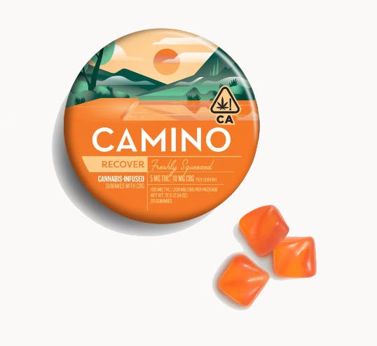 CAMINO: Freshly Squeezed