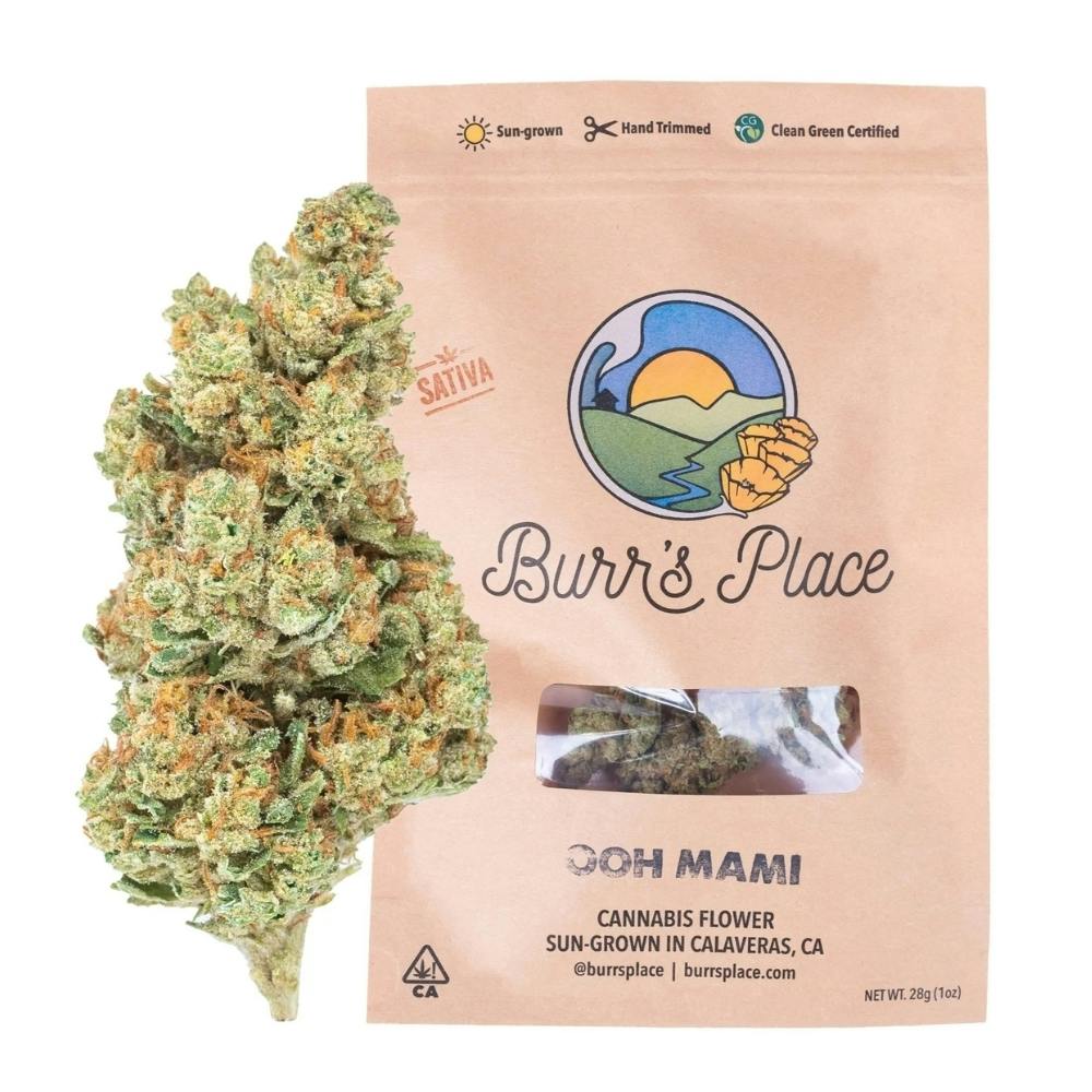Burr's Place: Ooh Mami