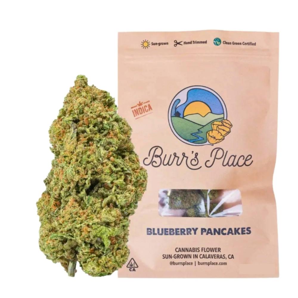 Burr's Place: Blueberry Pancakes