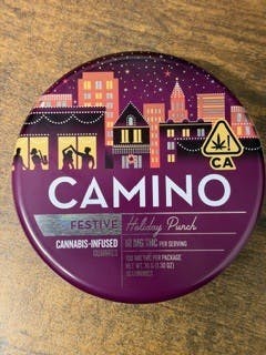 Camino Holiday Punch (H) Gummies 100mg