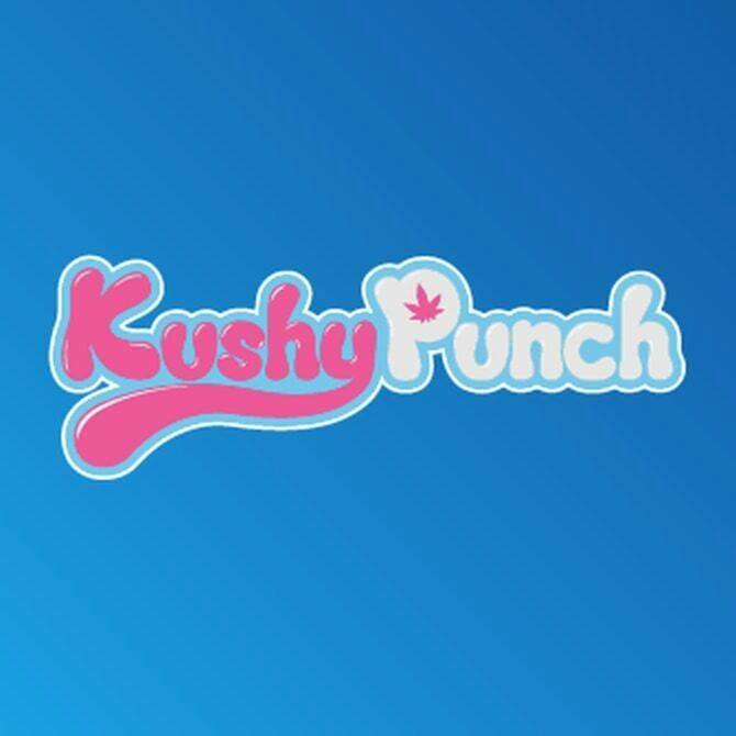 1G KUSHY OG LIVE RESIN CONNECT ALL-IN-ONE VAPE