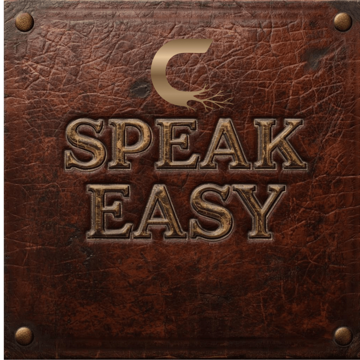 3.5G SPEAK EASY