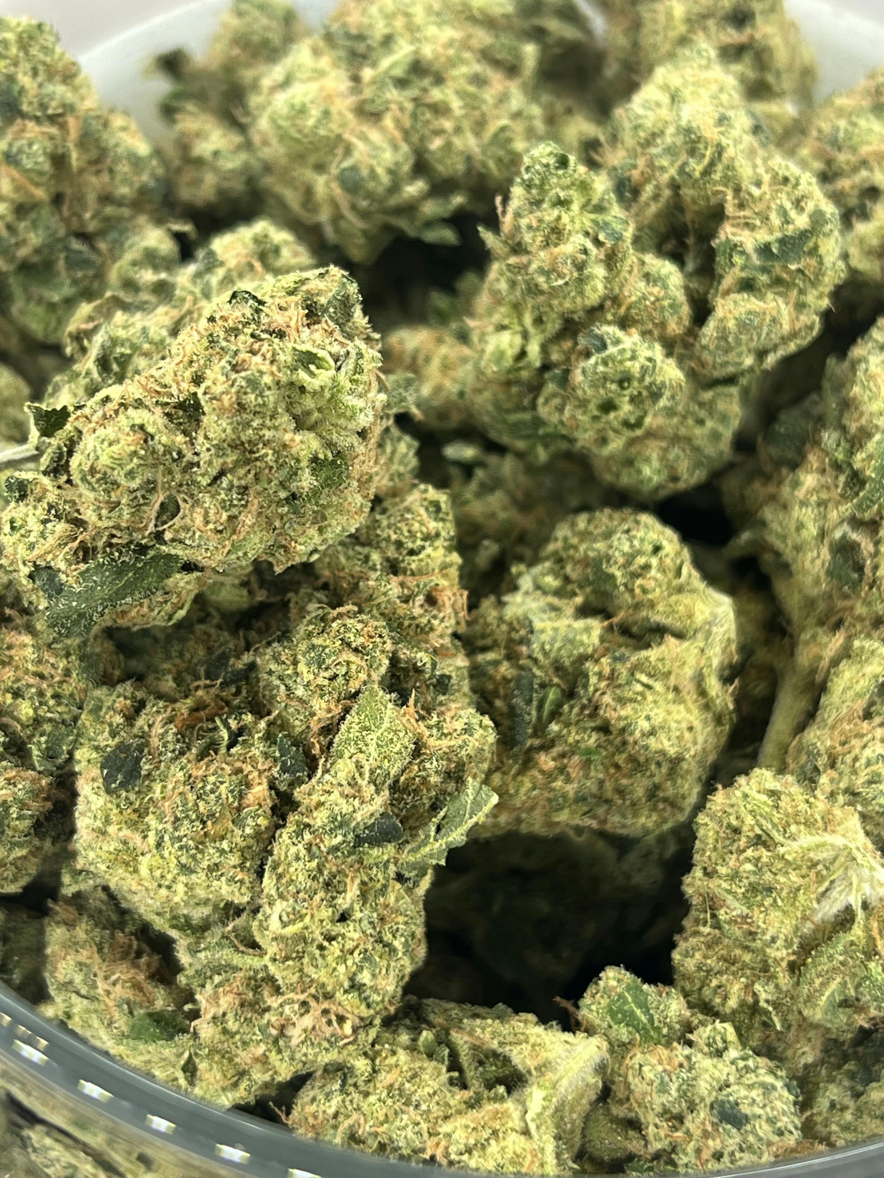 Platinum Shelf - Sour Diesel (S)