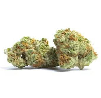 Platinum Shelf - Orange Push Pop (I)