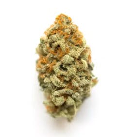 Gold Shelf - Meat Breath (I)