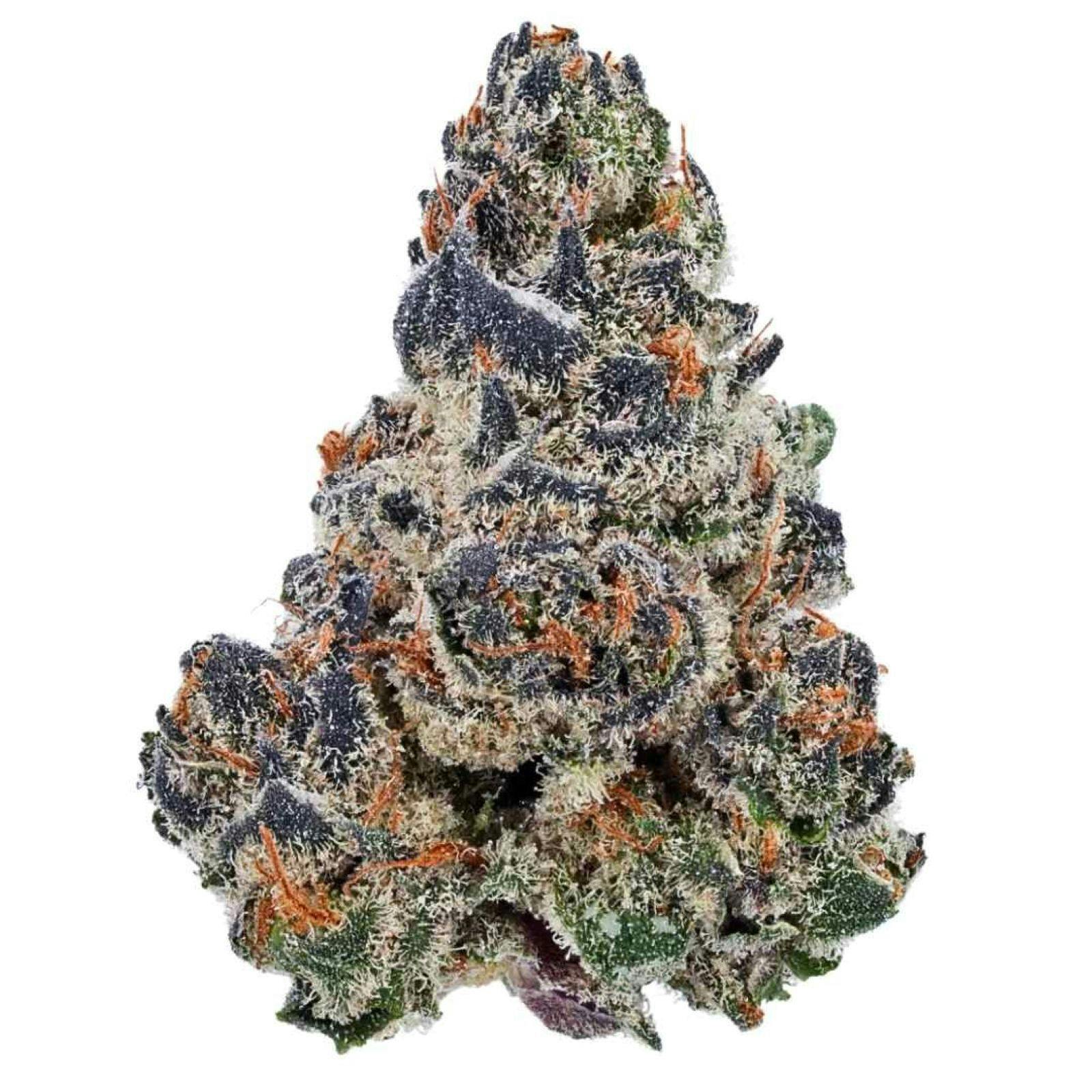 Silver Shelf - Grape Cream Cake (H)