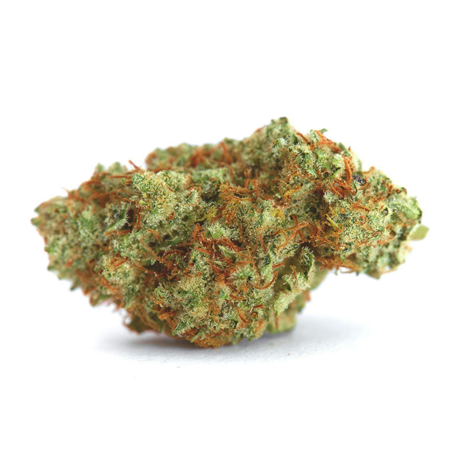 Gold Shelf - Golden Goat (S)