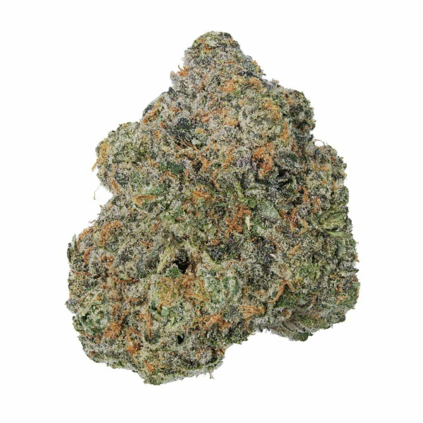 Gold Shelf - Papaya Pearls (I)