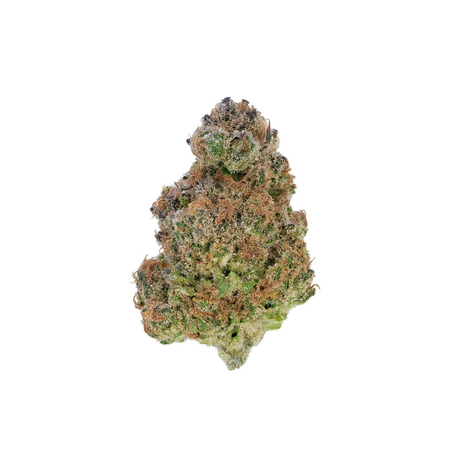 Gold Shelf - Blueberry Muffin (I)