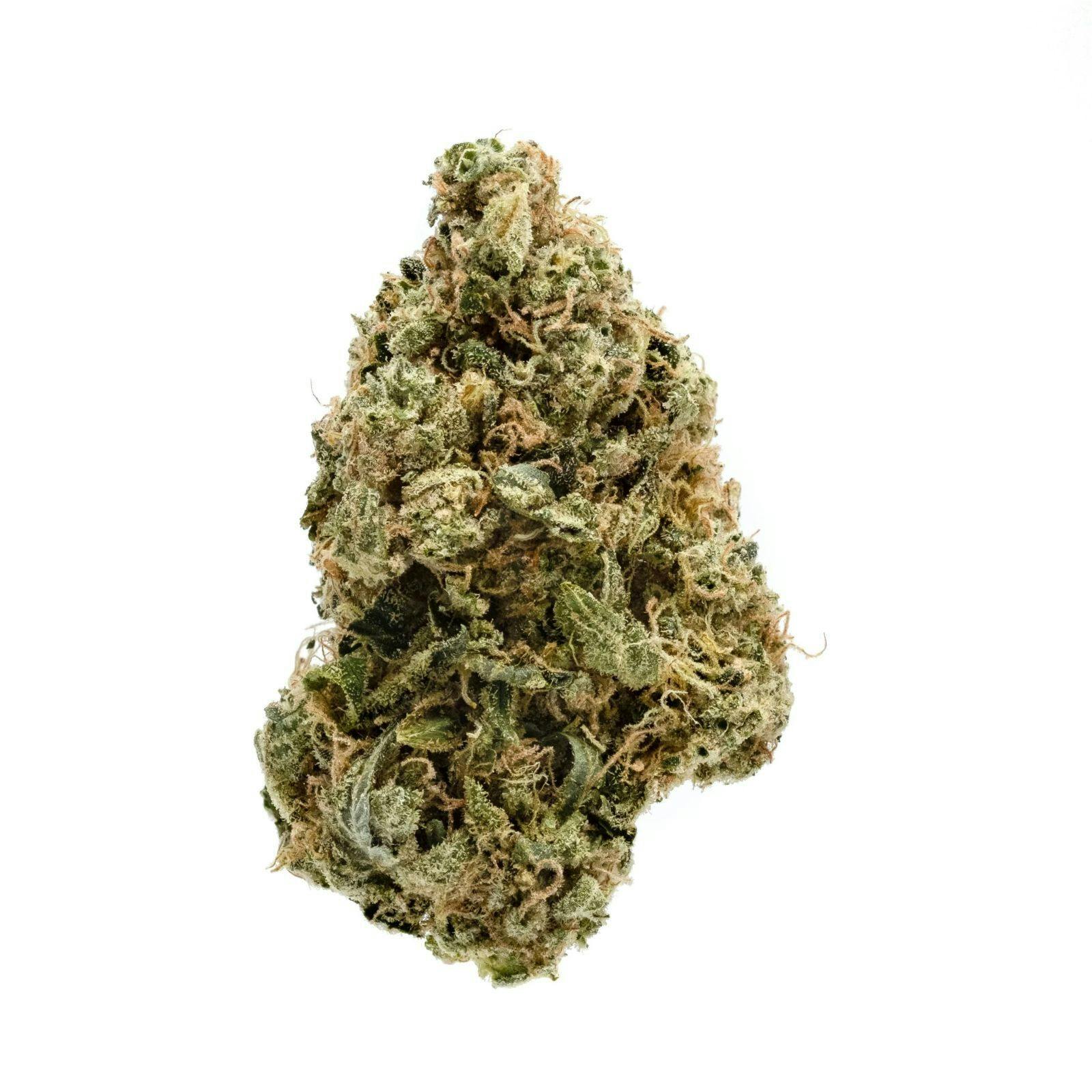 Platinum Shelf - Moon Blow (H)