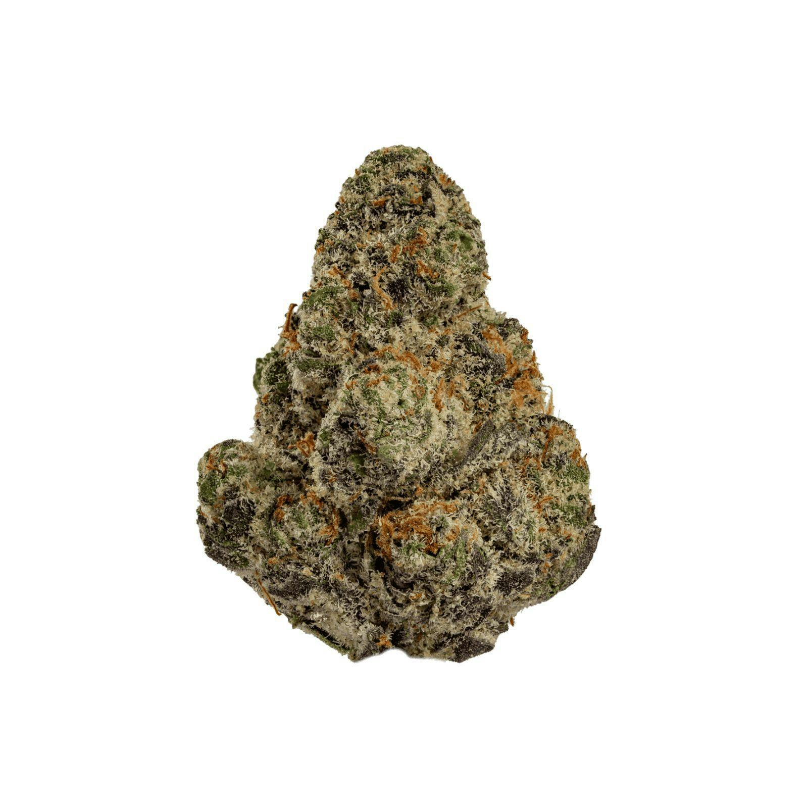 Platinum Shelf - Glitter Pop (I)