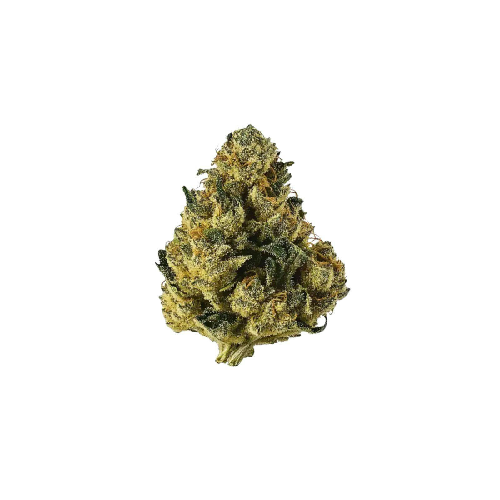 Platinum Shelf - 5280 Gravy (I)