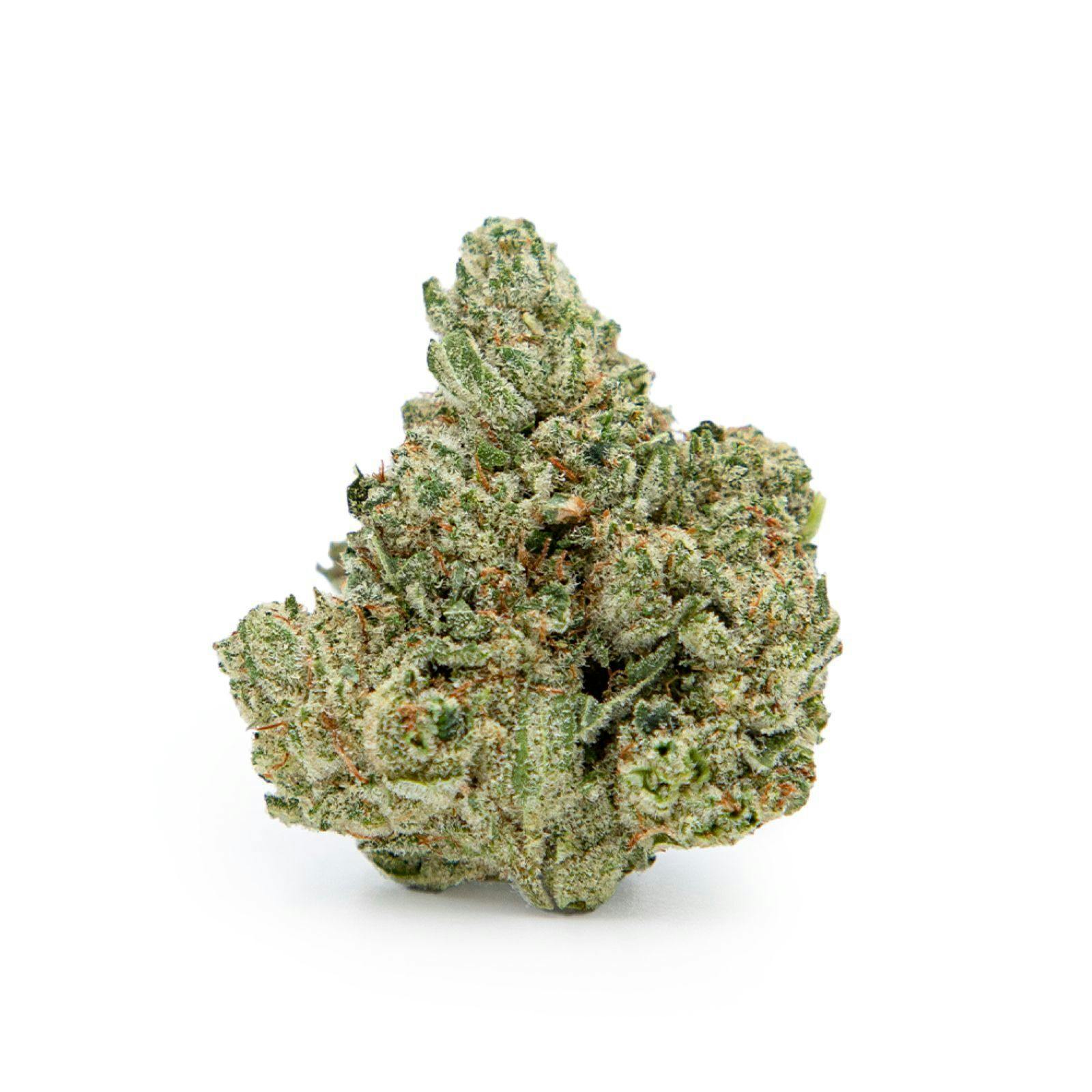 Silver Shelf - GG#4 (I) at Social Dispensary Golden