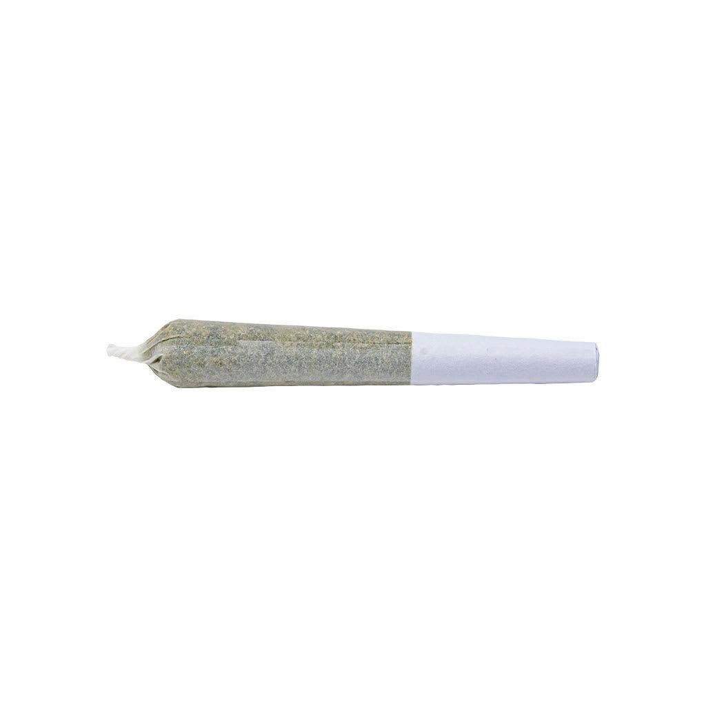 Spliff Caddy 28x0.5g Pre-Rolls - (C) 1Spliff