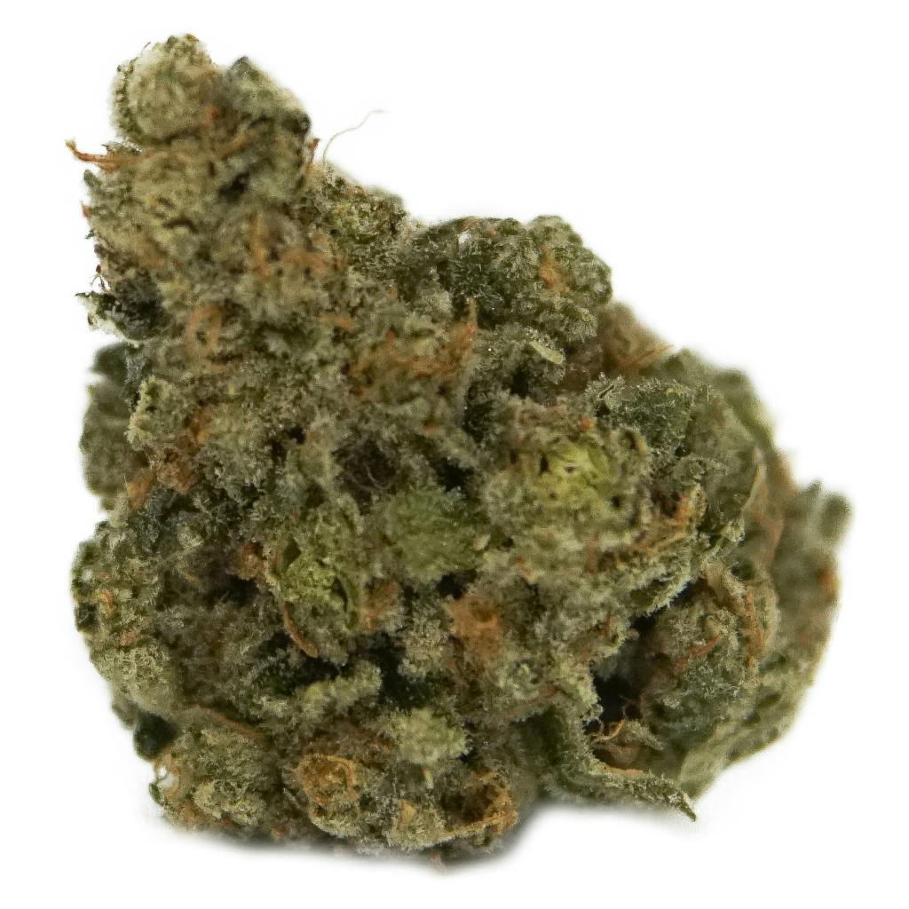 Exotic Gas