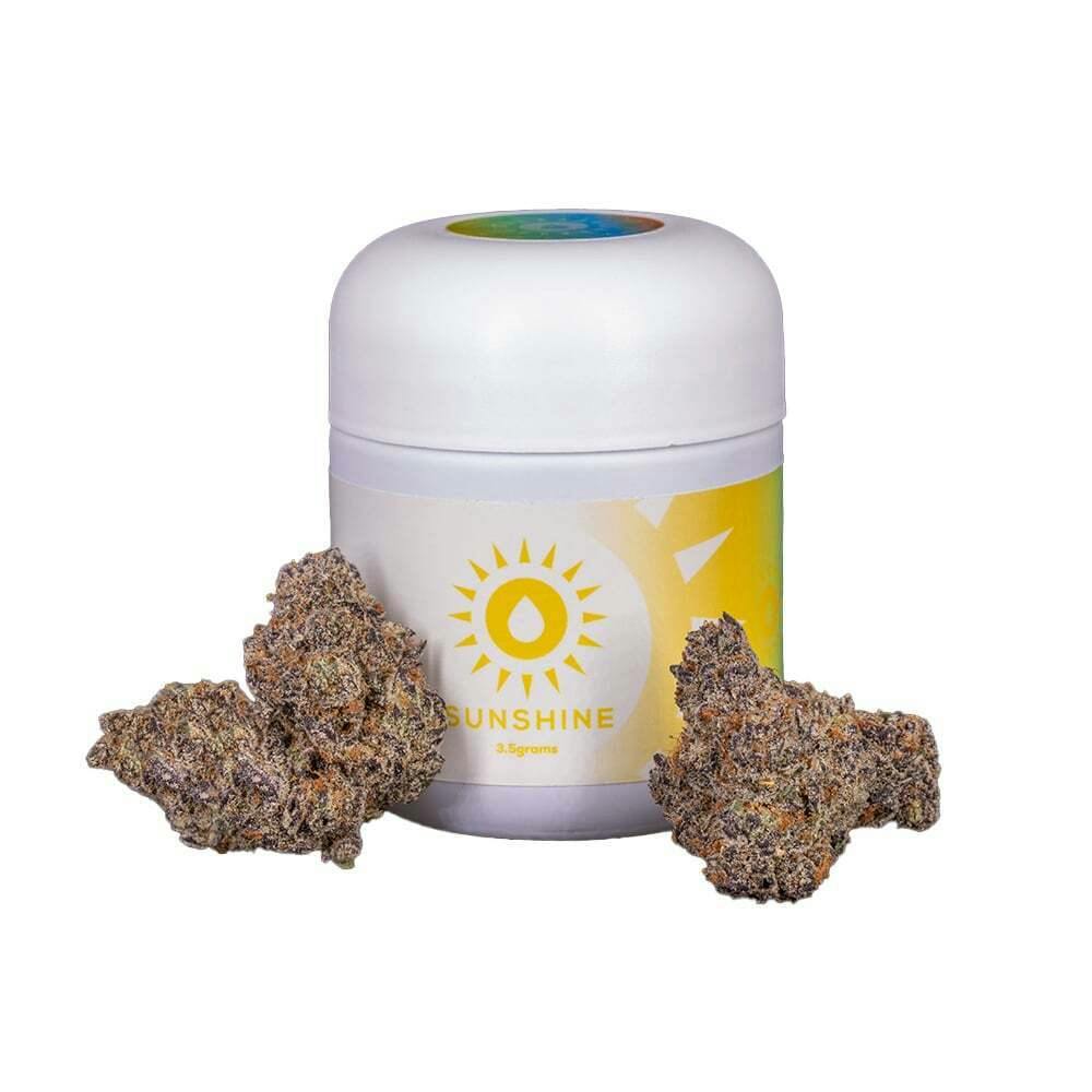 Gary Payton x Runtz | Sunshine - Pre Pack