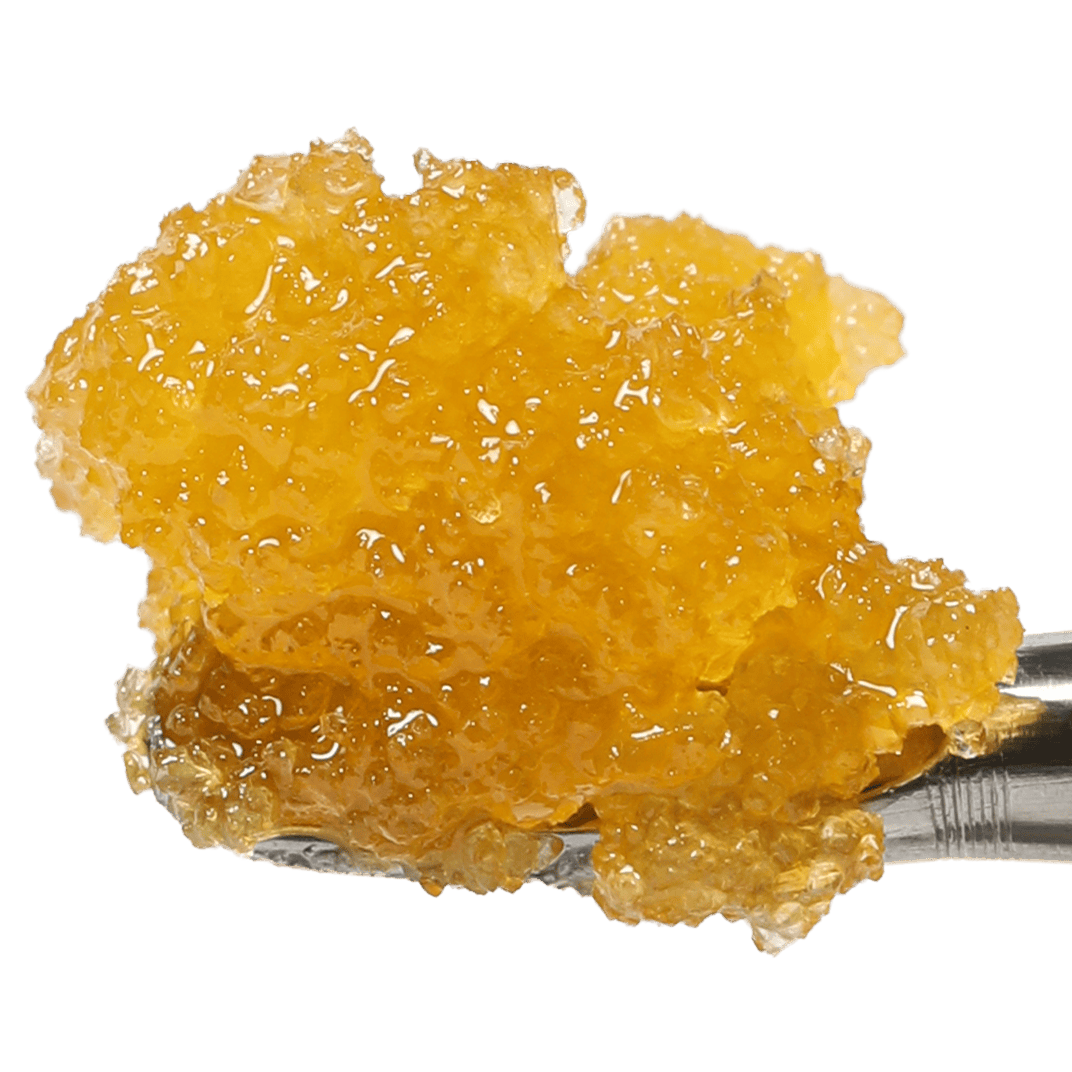Nova Peel | Seed & Smith - Live Resin