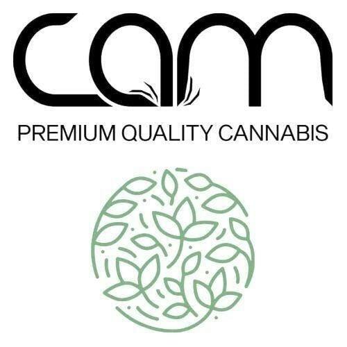 CAM | Jack Herer | Joint | 1g