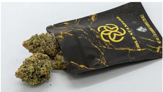 Gold Standard | Purple Octane | Flower | 3.5g