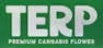 TERP Brand — Indica - Infused Joint - 1g
