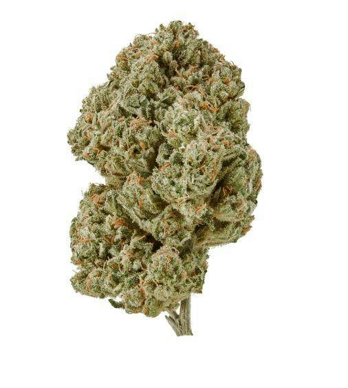 CO Fresh - Lifter (H) - 1/4 Oz CBD Flower