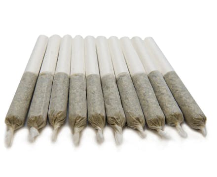 Of Bones - Fall of ' 97 10 pack (Med)