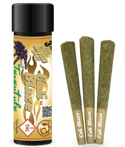 Cedar Serenity Mango Tarantula 3Pk - CaliBlaze