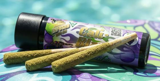 Glacial Glue Tropical Smoothie 3Pk - CaliBlaze