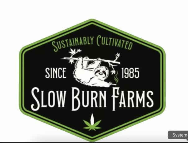 Slow Burn Farms - 9 Lions 1g joint at Denver Kush Club