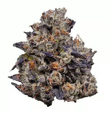 Aqua Guava Cooler Denver Kush Club