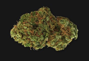 Sunset Sherbert