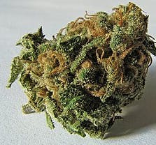 Sour Chillz - DKC