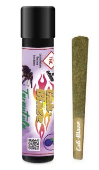 Black Maple Infused Joints Tarantula 1g Cali-Blaze