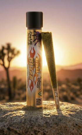 Maui Waui Infused Joints Tarantula 1g Cali-Blaze