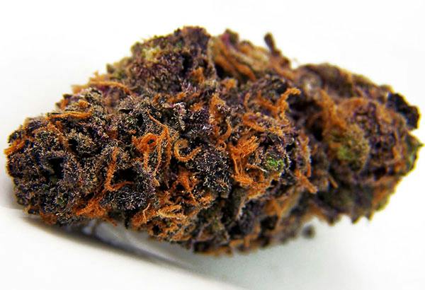 Trop Cherry cannabis product