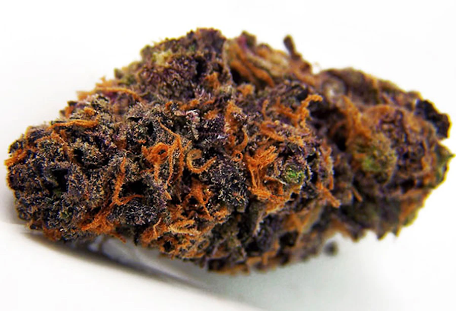Trop Cherry — flower listed on the Herbs 4 You menu