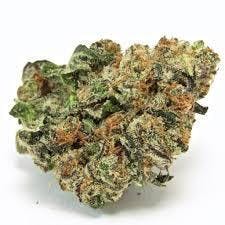 Animal Tsunami cannabis product