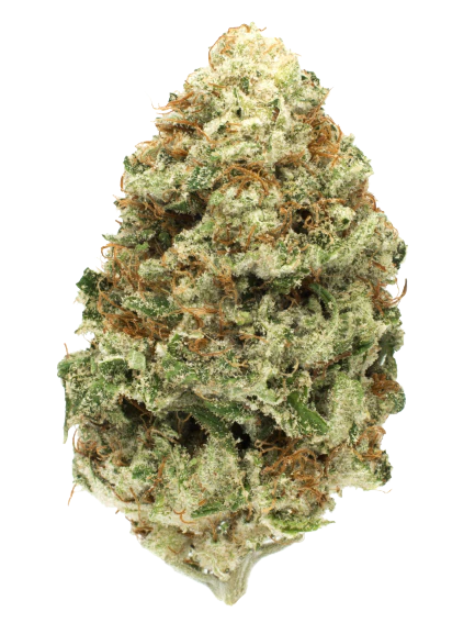 Durban Poison — flower listed on the Herbs 4 You menu