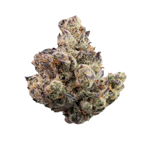 White Truffle — flower listed on the Herbs 4 You menu