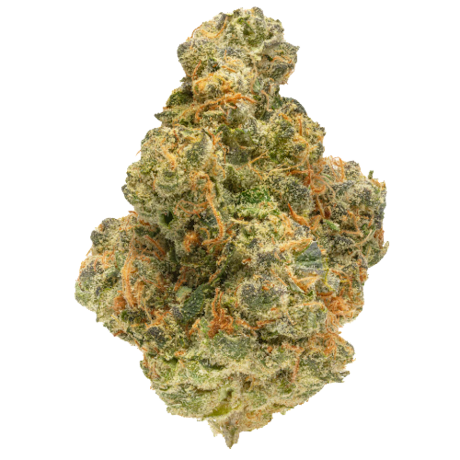 Apricot Scone — flower listed on the Herbs 4 You menu