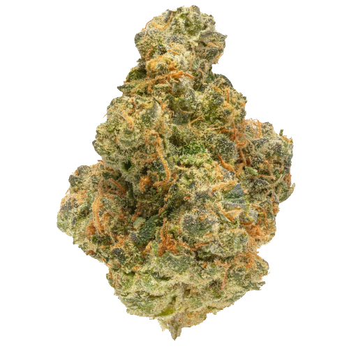 Apricot Scone — flower listed on the Herbs 4 You menu