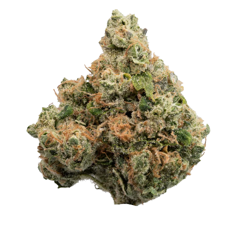 Runtz — big buds listed on the Herbs 4 You menu
