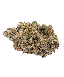 Chem Dozer