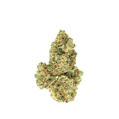 Orange Mints — flower listed on the Herbs 4 You menu